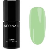 NEONAIL Blooming Dreams unghii cu gel folosind UV / lampă cu LED culoare Eternal Fantasies 7.2 ml