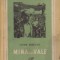 Mina din Vale - Nuvela
