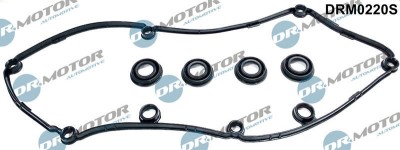 Set Garnituri, Capac Supape 307697 DRM0220S foto
