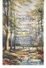 D11 A 29 - Felicitare de colectie - circulata la 1902 - Frankfurt, Germania, Printata