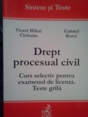 Viorel Mihai Ciobanu - Drept procesual civil (Editia: 2002) foto