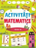 Activitati matematice 8 ani+, Aramis