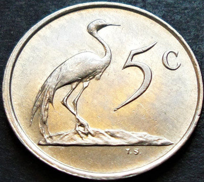 Moneda 5 CENTI - AFRICA de SUD, anul 1987 *cod 33 = UNC foto