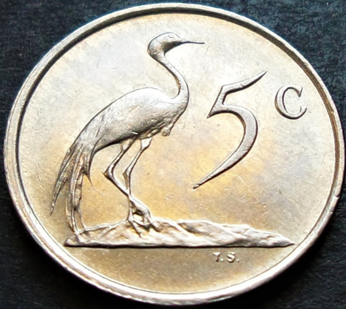 Moneda 5 CENTI - AFRICA de SUD, anul 1987 *cod 33 = UNC