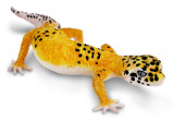 Figurina - Leopard Gecko | Safari