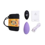 Cumpara ieftin Vibrator Panty cu telecomanda wireless