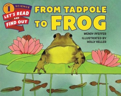 From Tadpole to Frog foto