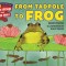 From Tadpole to Frog