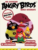 Angry birds - Grupul Art