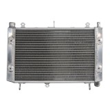 RADIATOR YAMAHA FZS 1000 2001 2005