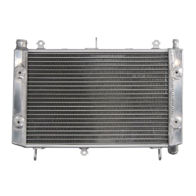 RADIATOR YAMAHA FZS 1000 2001 2005 foto