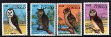 CONGO Fauna, Pasari, serie neuzata, MNH, Nestampilat