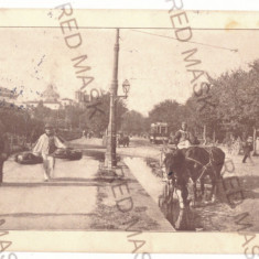 5537 - BUCURESTI, Oltean street seller, Romania - old postcard - used - 1922