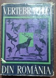 VERTEBRATELE DIN ROMANIA - VASILE IONESCU, BUC.1968