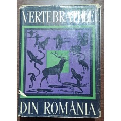 VERTEBRATELE DIN ROMANIA - VASILE IONESCU, BUC.1968