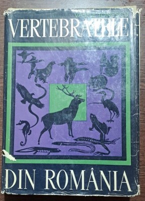 VERTEBRATELE DIN ROMANIA - VASILE IONESCU, BUC.1968 foto