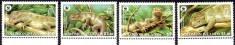 SOLOMON 2005, Fauna WWF, serie neuzata, MNH foto