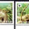 SOLOMON 2005, Fauna WWF, serie neuzata, MNH