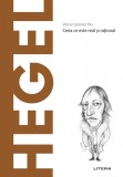 Hegel. Volumul 19. Descopera Filosofia, Litera