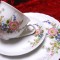 SET MIC DEJUN PORTELAN TIRSCHENREUTH CEASCA CAFEA CU FARFURII