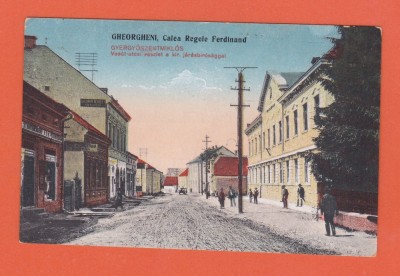 AMS @ - ILUSTRATA GHEORGHENI, CALEA REGELE FERDINAND - NECIRCULATA, animata foto
