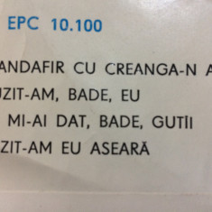ANA MUNTEANU EPC 10100 disc single vinyl MUZICA POPULARA folclor banatean Banat
