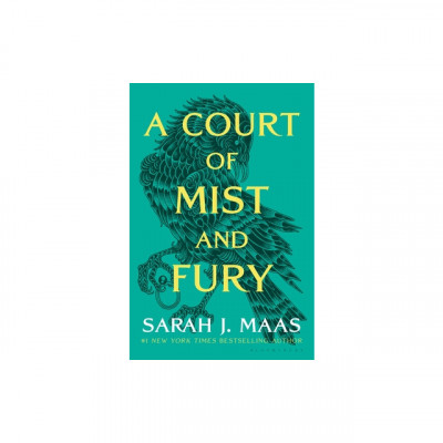 A Court of Mist and Fury foto