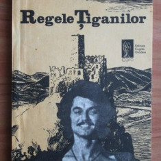 Ponson du Terrail - Regele tiganilor