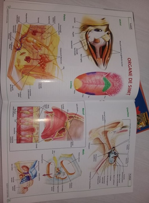 4Reviste stiintifice pt copii:BioPlanet-INSECTE EXTRATERESTRE,FRUMUSETI ACVATICE