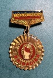 Insigna UTC Brigadier 1948 1983 35 de ani de la constituirea santierelor nationale ale tineretului