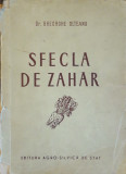 SFECLA DE ZAHAR - GHEORGHE OLTEANU/ 1954