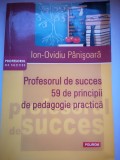 Profesorul de succes: 59 de principii de pedagogie practica - Ion-Ovidiu Panisoara