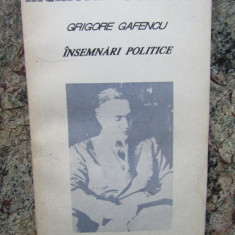 Grigore Gafencu - Insemnari politice, Humanitas