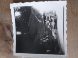Fotografii Tematica Masini