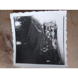 Fotografii Tematica Masini