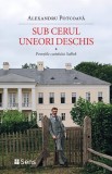 Sub cerul uneori deschis &ndash; Povestile castelului Salbek &ndash; Alexandru Potcoava