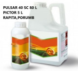 Pachet Complet Cereale (Pulsar 40 SC 80 L+Pictor 5 L), Bayer