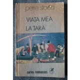 Petre Stoica - Viața mea la țară