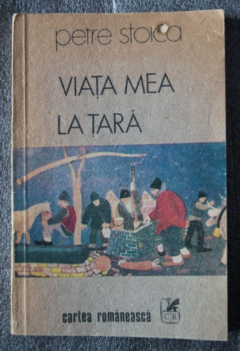 Petre Stoica - Viața mea la țară