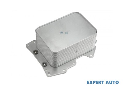 Racitor ulei Land Rover RANGE ROVER Mk III (LM) 2002-2012 #1 foto