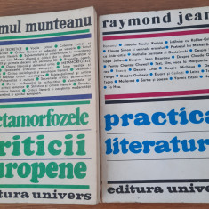 Metamorfozele criticii europene, R. Munteanu, Practica literaturii, Raymond Jean