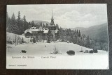 Castelul Peleș Și aia iarna cca 1900