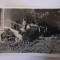 Lot 4 fotografii dimensiuni 6/9 cm din Călimănești județul V&acirc;lcea &icirc;n 1969