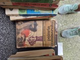 Pălăria comisarului vintage