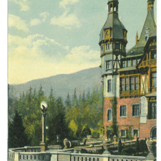 527 - SINAIA, Prahova, PELES Castle, Romania - old postcard - unused