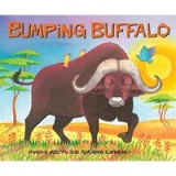 Bumping Buffalo