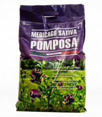 Seminte Lucerna Pomposa ( Import Italia foto