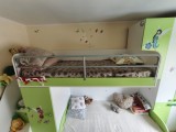 Mobilier cameră copii complet &ndash; 2 paturi, saltele, dulapuri &ndash; făcut pe comandă