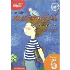 Matematica. Algebra, geometrie. caiet de lucru clasa a VI-a, partea 1 - Ion Tudor