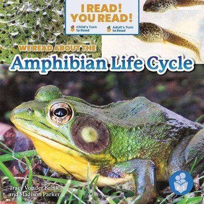 We Read about the Amphibian Life Cycle foto